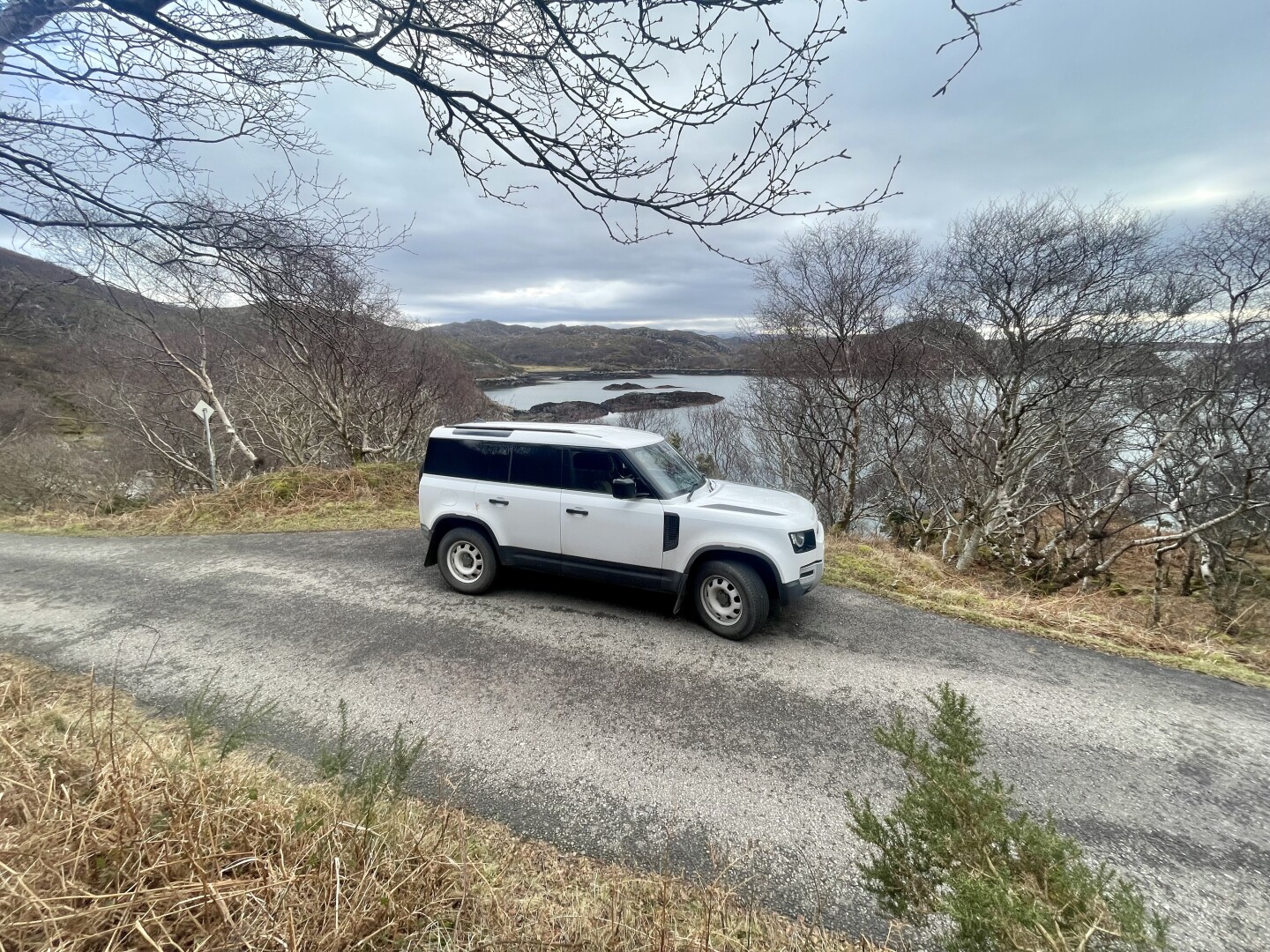 [Linked Image]