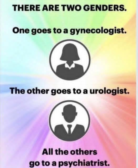 [Linked Image]
