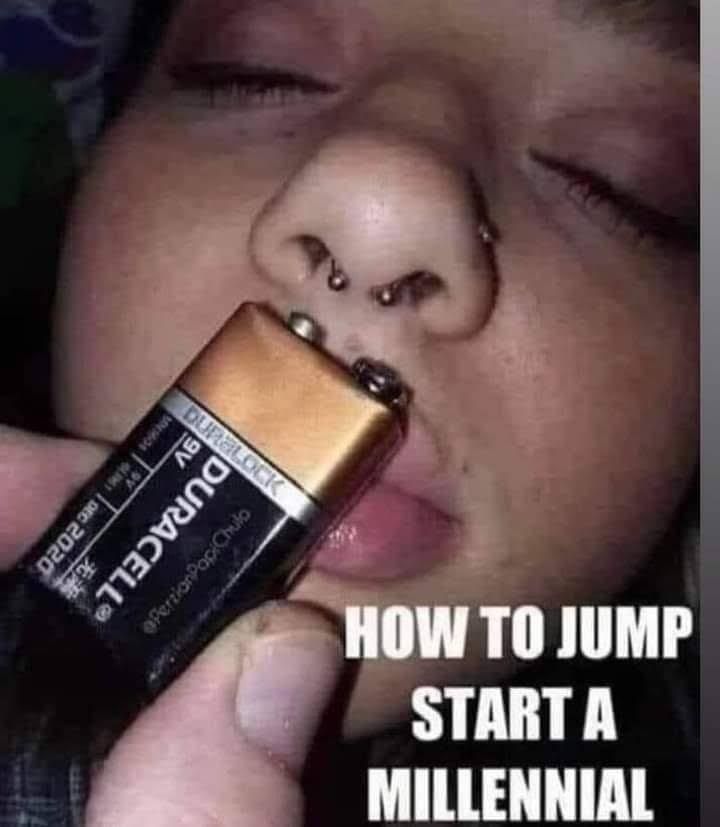 [Linked Image]