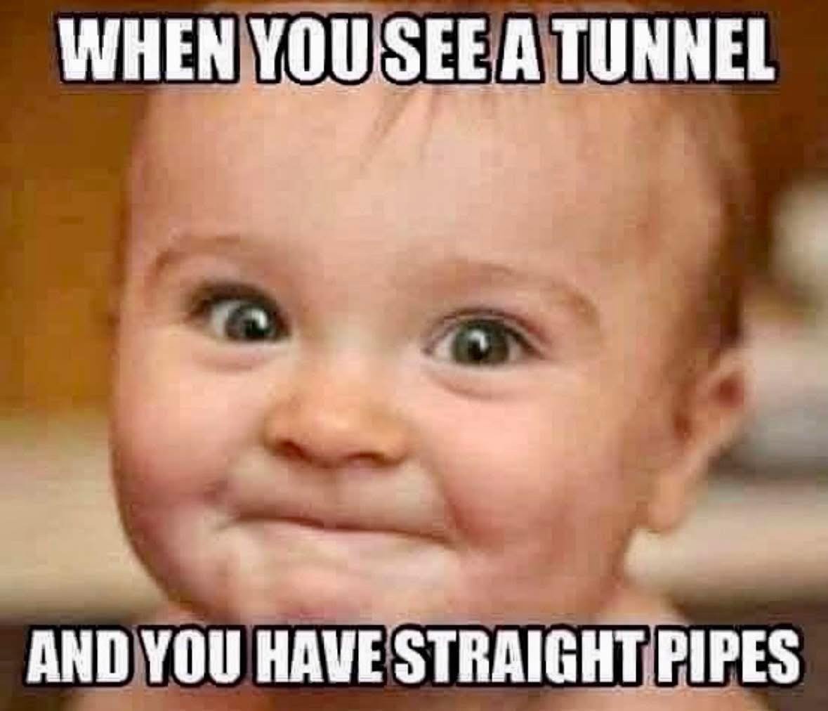 [Linked Image]