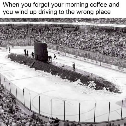 [Linked Image]